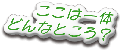ここは一体どんなところ？