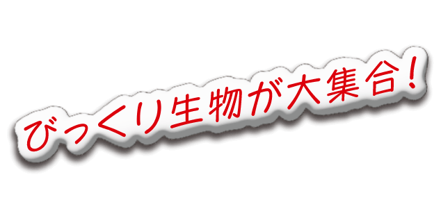 びっくり生物が大集合！
