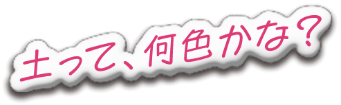 土って、何色かな？