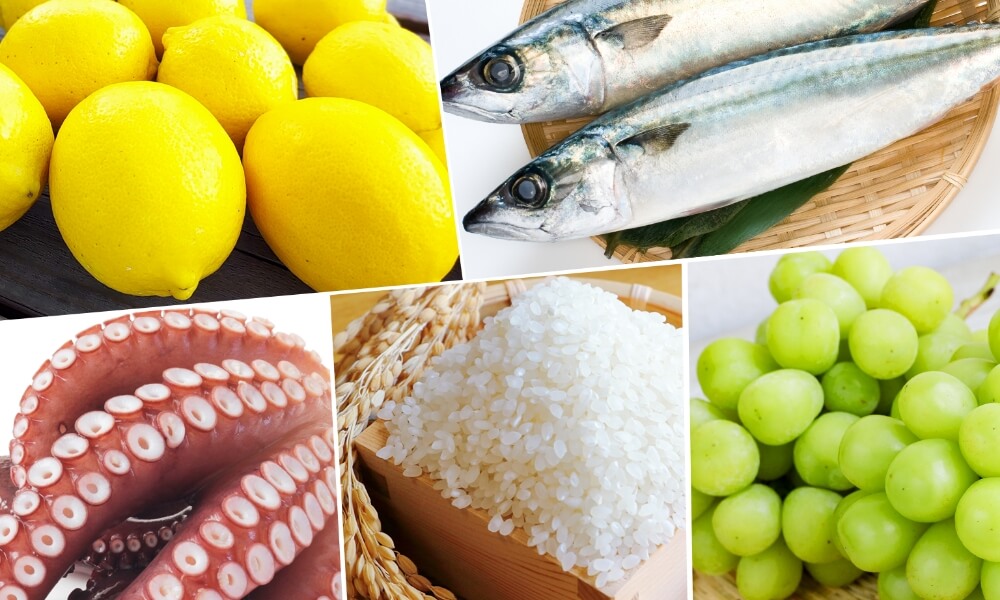 レモン、サバ、タコ、米、ブドウなどの食材写真。