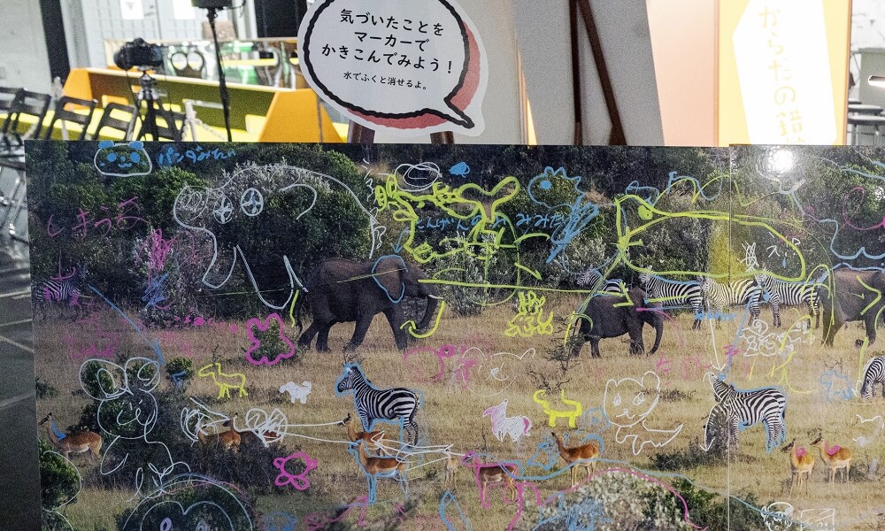 動物（ゾウ、シマウマなど）の写真パネルに来場者が気づいたことをカラフルなマーカーで書き込んでいる様子。