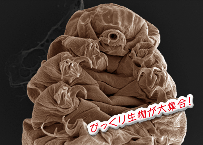 びっくり生物が大集合！