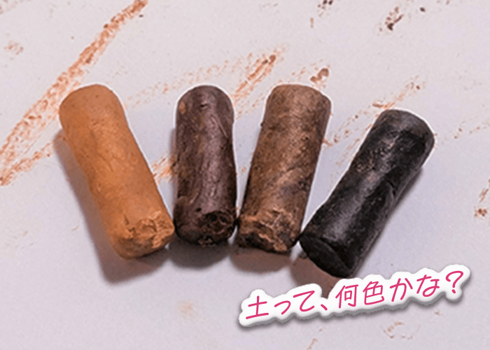 土って、何色かな？