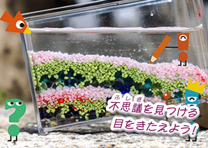 不思議を見つける目をきたえよう！