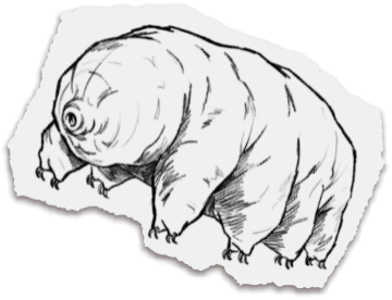 クマムシのイラスト画像。