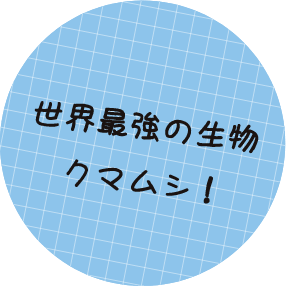 世界最強の生物 クマムシ！