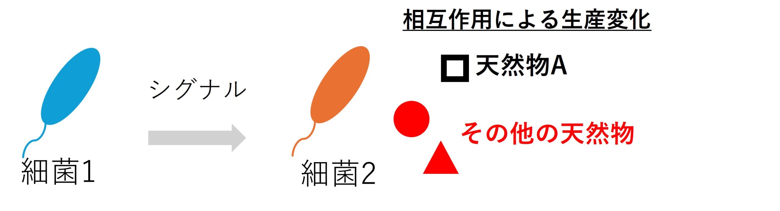 研究概要図