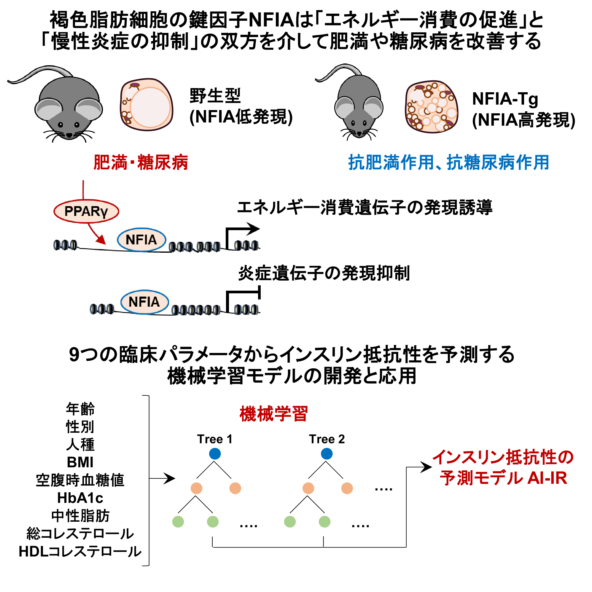 画像の説明