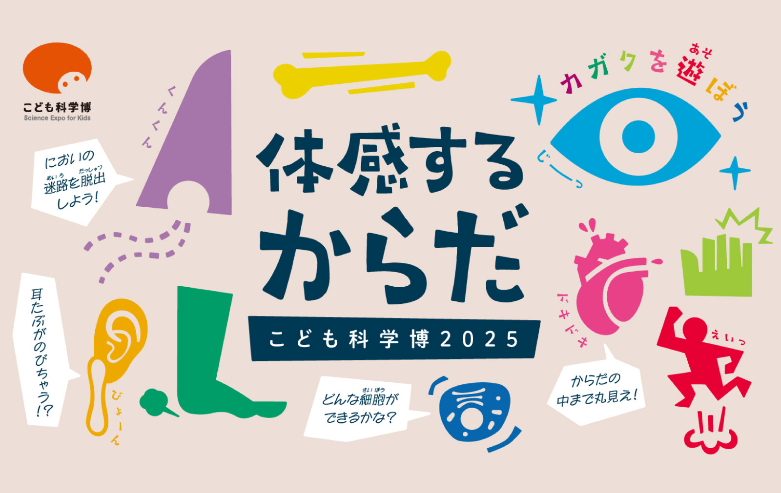 こども科学博2025「体感するからだ」を8月に開催！ | 公益財団法人