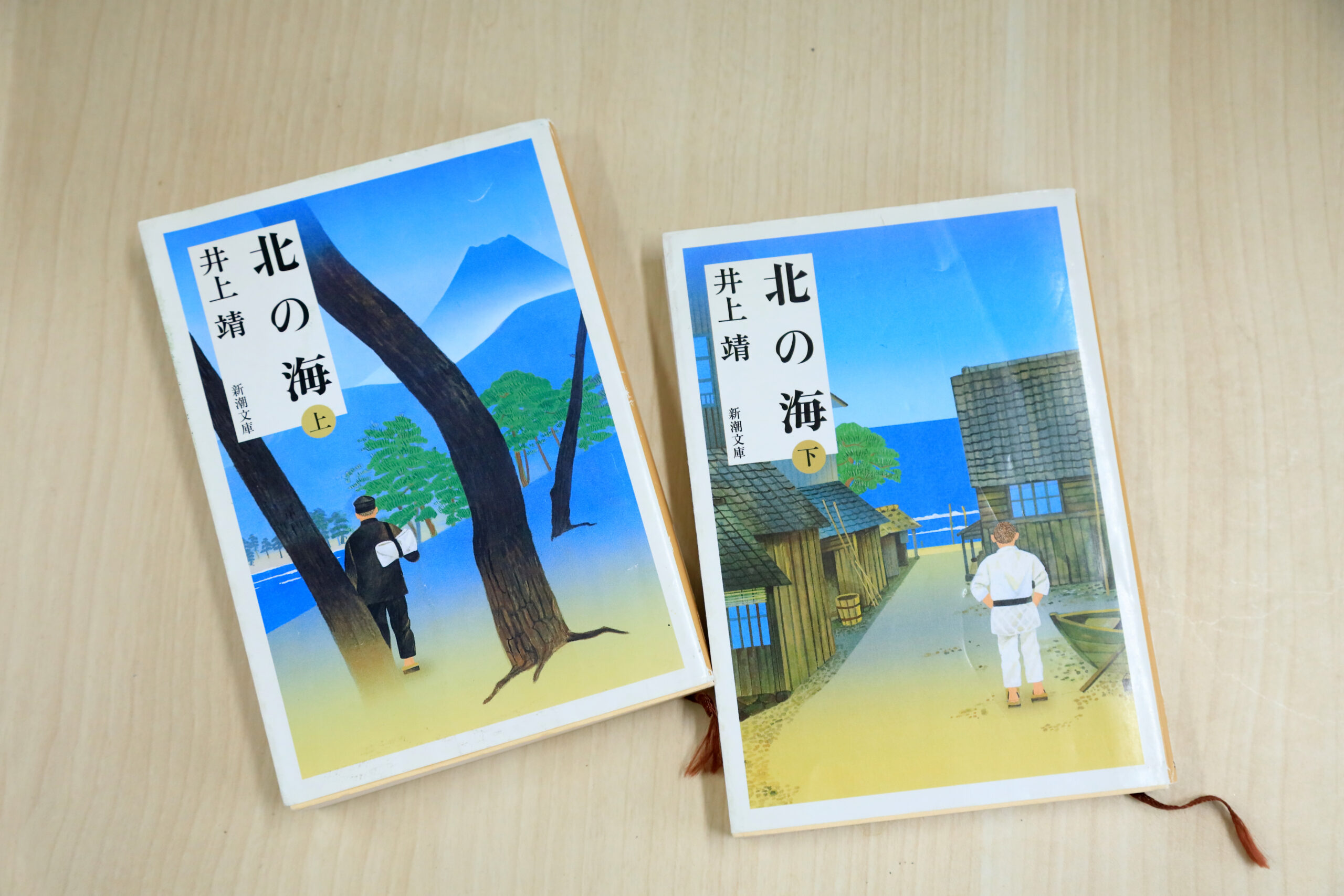 3S研究者探訪 菅倫寛