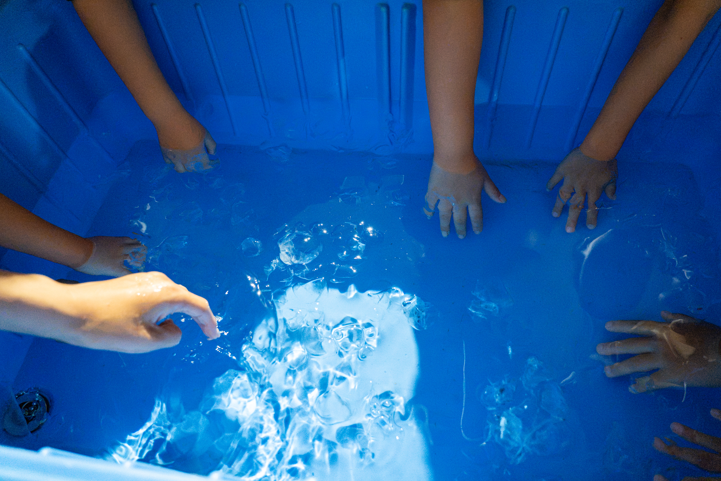 深海と同じ水温の水に手を浸す子どもたちの様子